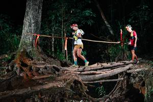 BIB: 
                            <button type="button" onclick="openModal(27356478)" class="btn btn-primary btn-sm float-right btn-popup" data-toggle="modal" data-target=".modal-high-quality">
                        <i class="fas fa-shopping-cart"></i> Add to Cart
                    </button>
                                            <button type="button" onclick="isThisMe(27356478, true)" class="btn btn-success btn-sm float-right btn-popup btn-isme hidden" data-toggle="tooltip" data-placement="bottom" title="นี่คือรูปของคุณใช่ไหม คลิกที่นี่เพื่อเอาเข้าอัลบั้ม">
                        <i class="fas fa-plus"></i> Add to album
                    </button>
                    <button type="button" onclick="isThisMe(27356478, false)" class="btn btn-warning btn-sm float-right btn-popup btn-isnotme hidden">
                        <i class="fas fa-ban"></i> Remove from album
                    </button>